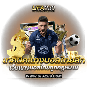 เทคนิคบอลไทย-2-1